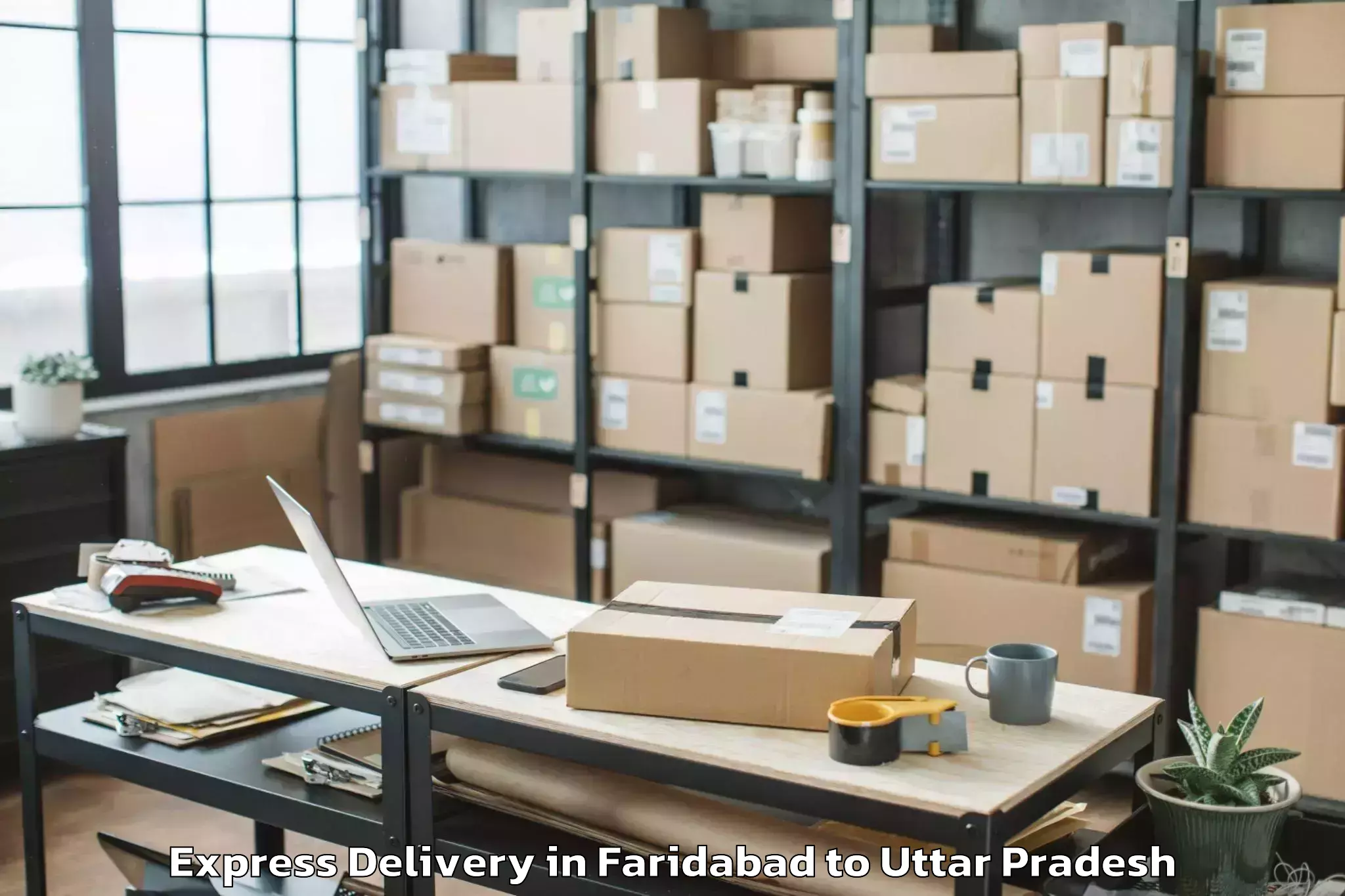 Quality Faridabad to Maharishi University Lucknow Express Delivery